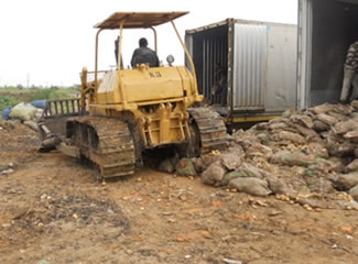 Passage du bulldozer sur les pommes de terre pourries